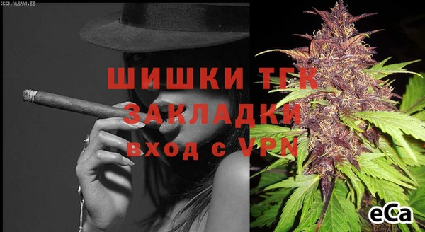 гашик Арсеньев