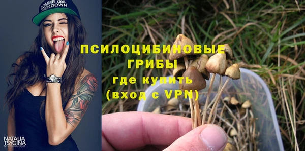 шишки Армянск
