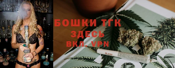 гашик Арсеньев
