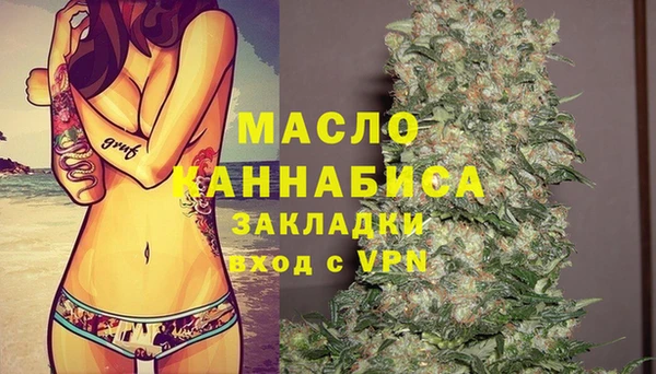 гашик Арсеньев