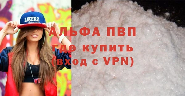 гашик Арсеньев